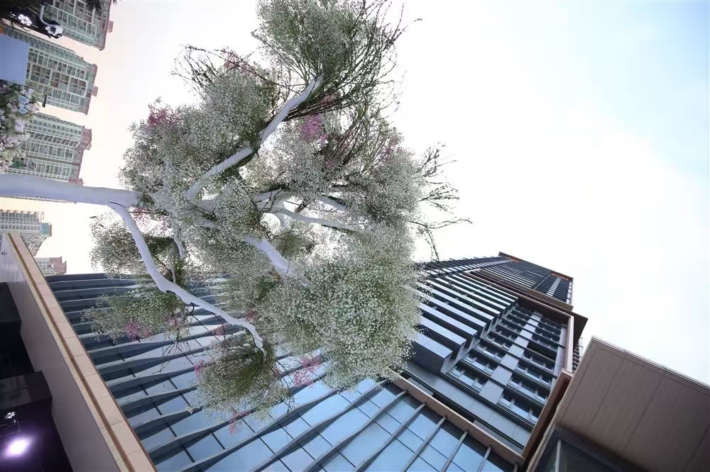 1745656390584150.jpg 72f5a1d7844c1351cae6a01ac35c27d.jpg