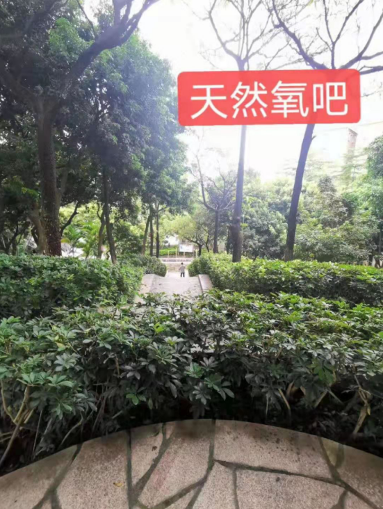 金光華府名校零距離，盡享綠色生態(tài)