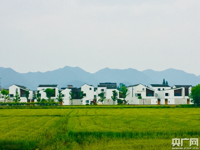 培育一批具有杭州特色的農村新型業態