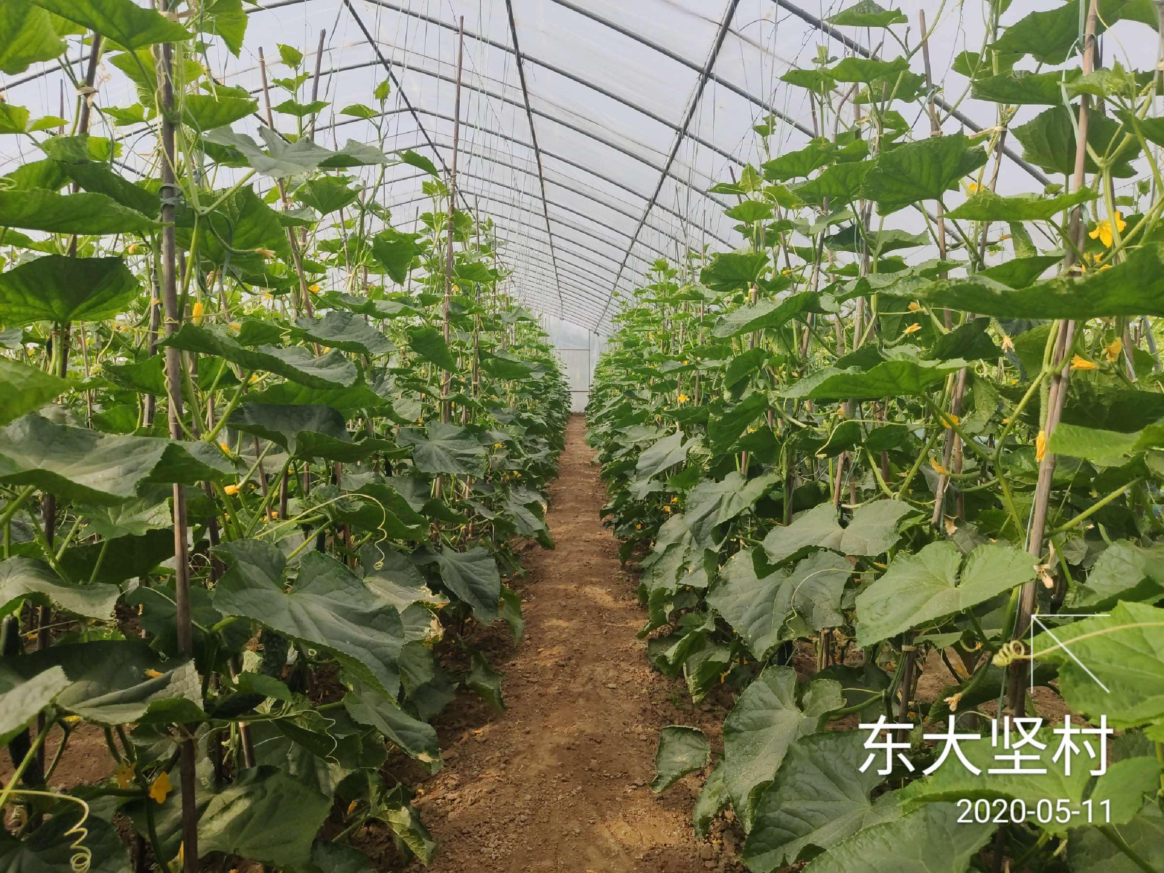 基本解決灘區(qū)居民的防洪安全和安居問題