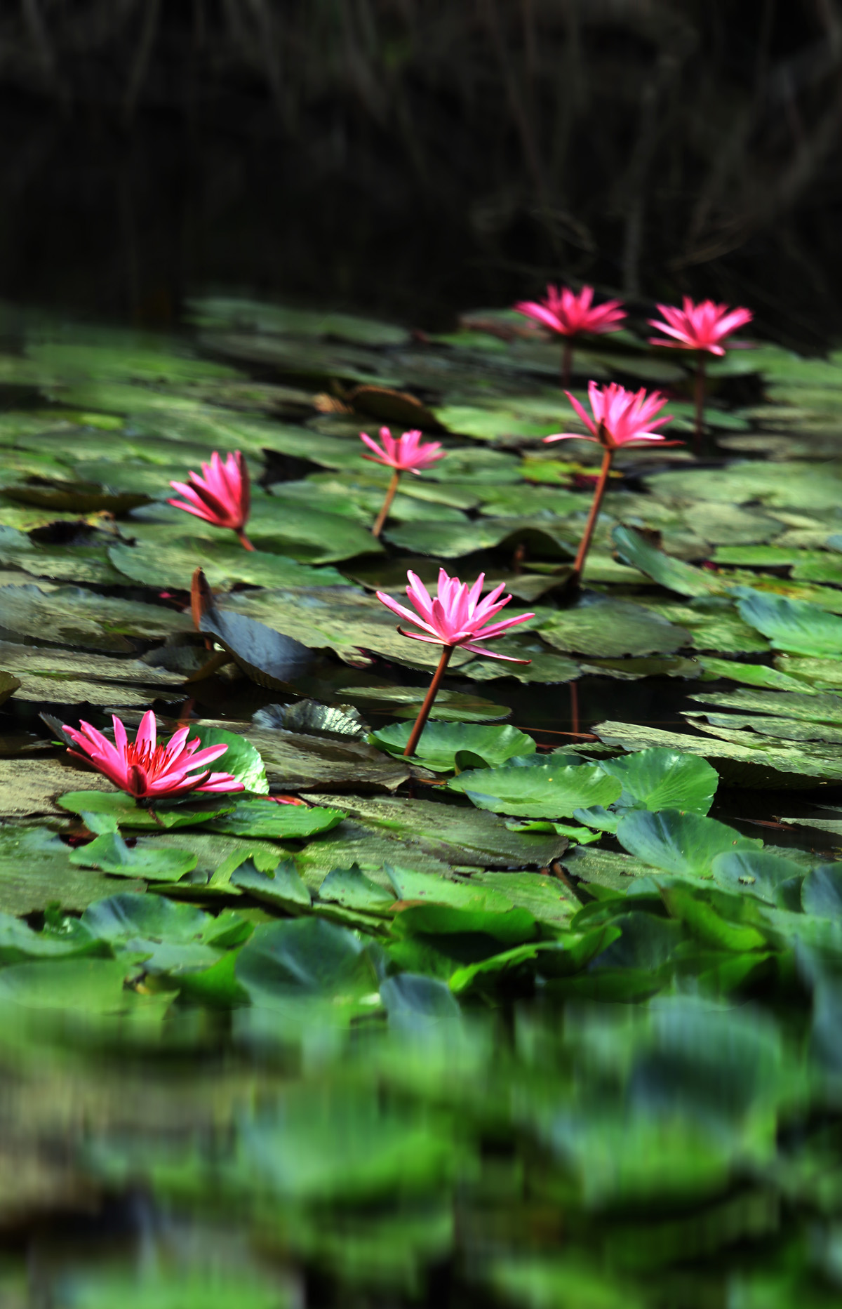 請(qǐng)問泛海臨姚家園的兩居室可以買嗎