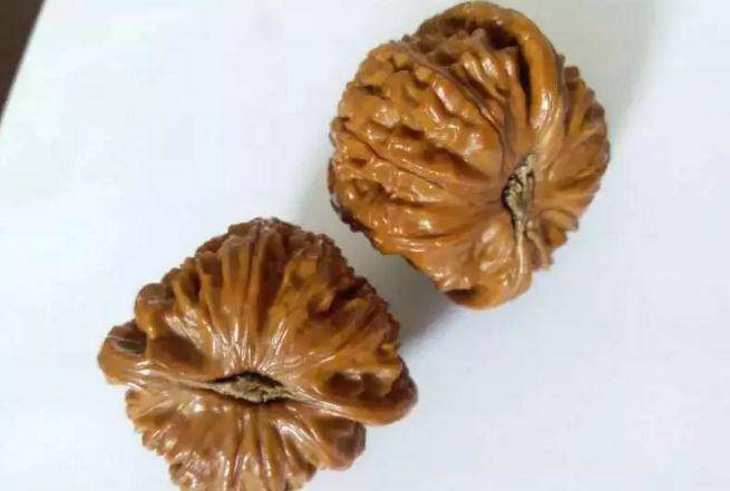 許多人把骨質(zhì)誤認為皮質(zhì)