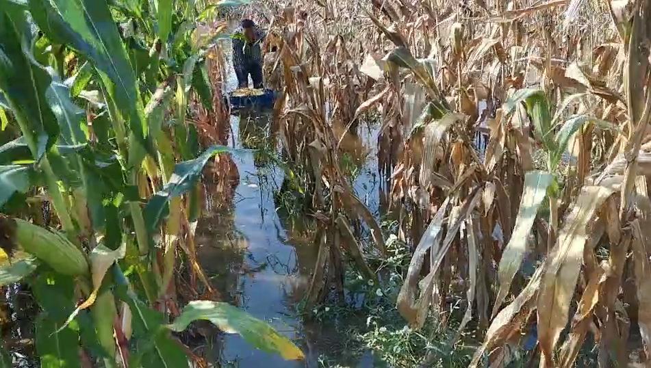 很多先進園區屬于第四代產業園區