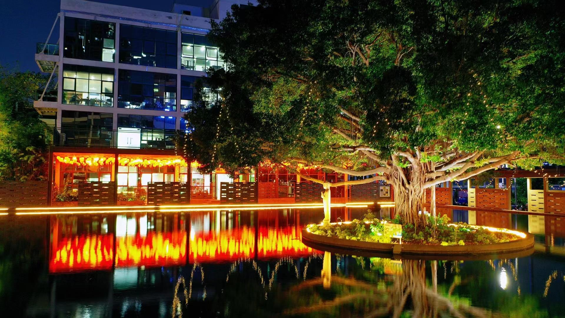 龍華區中心地段